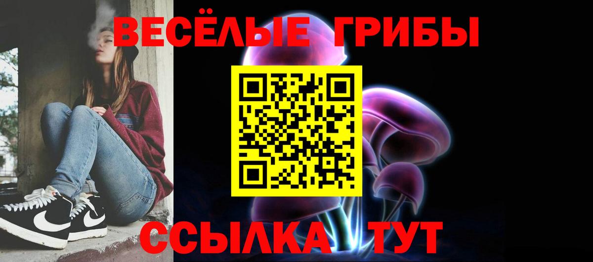 Галлюциногенные грибы мицелий  Вход с VPN  Галлюциногенные грибы GOLDEN TEACHER  Ковров 